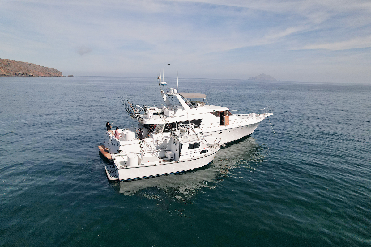 The Carolena exterior